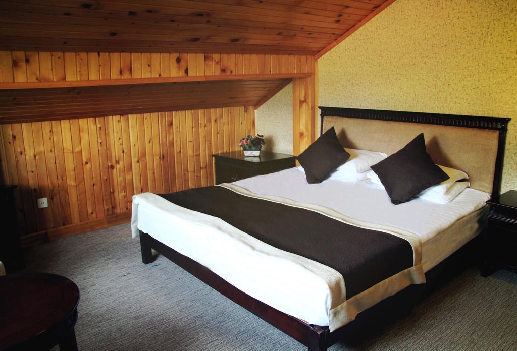 Hotel Victoria Bakuriani Værelse billede